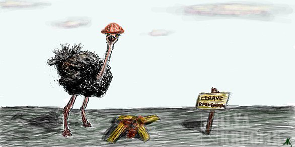 Ostrich